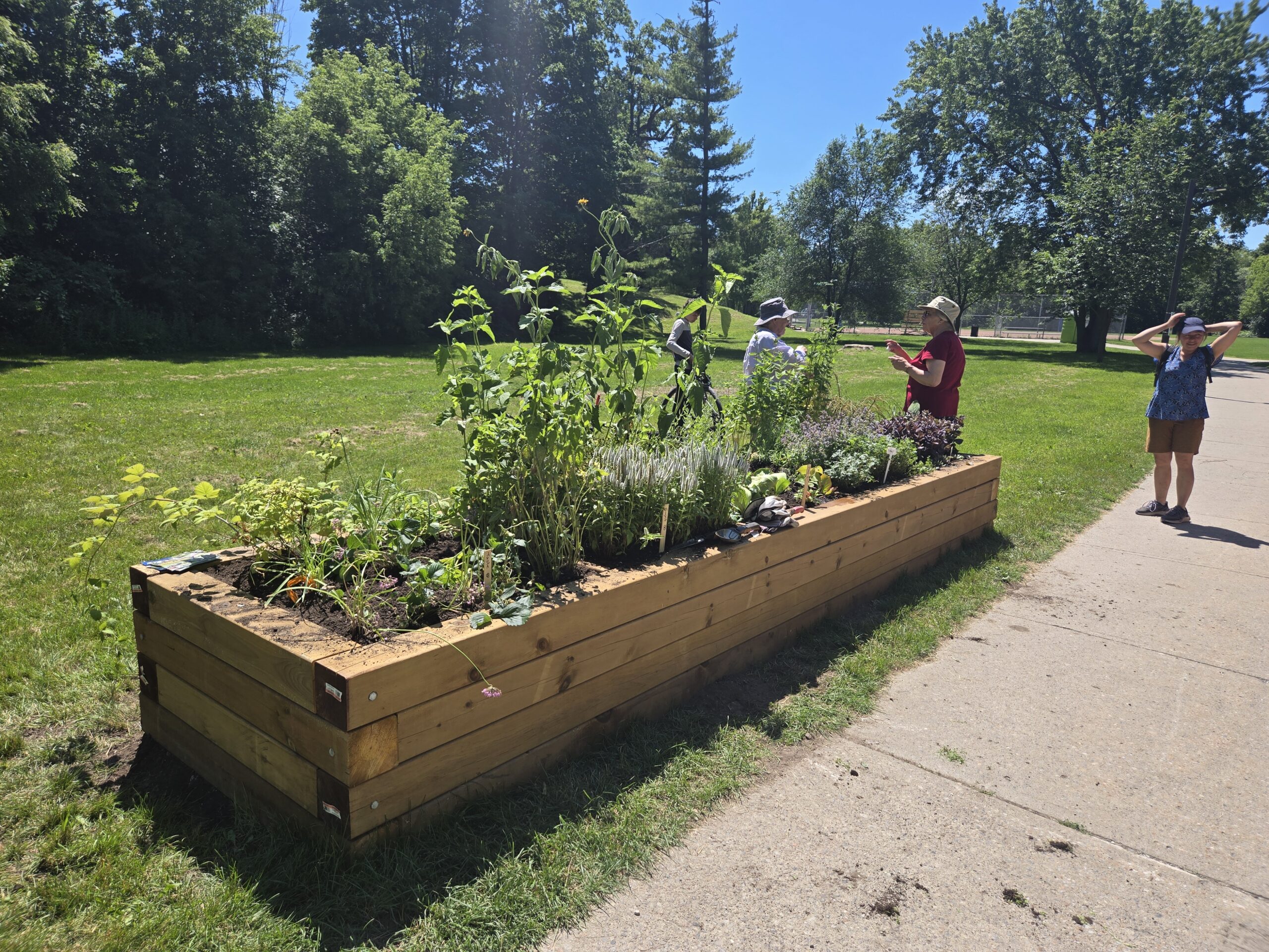 planting sensory garden